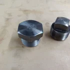 Hexagon Plug Plug Fitting Carbon Steel A105 Fittings 1 Inch Hexagon Head Plug