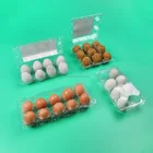 Custom Clear 6 8 10 Egg Package Plastic Tray Food Grade Blister Tray