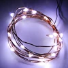 Holiday Outdoor Lighting Copper Wire Cool White LED String Light