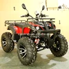 /product-detail/petrol-powered-chain-drive-sport-hunting-atv-250cc-quad-atv-for-adults-60714315888.html