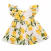 ZM075A/B 1-6 years old summer kids lovely fashion printed sleeveless baby girls dress