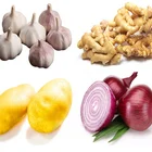 Fresh Vegetable(Garlic,ginger,onion...) - China Crop