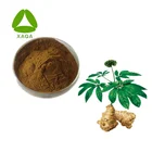 Food Grade 10:1 Dried Ginger Extract Powder With Competitive Price