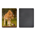 Lenticular pet 3d fridge magnet 3d lenticular fridge magnet/magnet fridge 3d