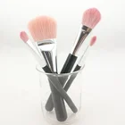 personalised perfect pink hair cosmetic makeup brush set