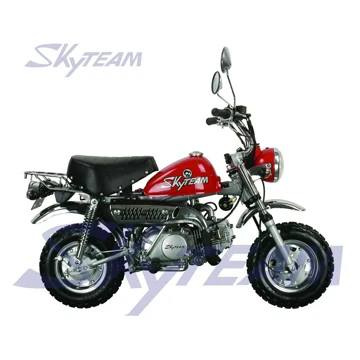 Skyteam 50cc 125cc 250cc 4 Temps Singe Moto Dax Pbr Zb T Rex V