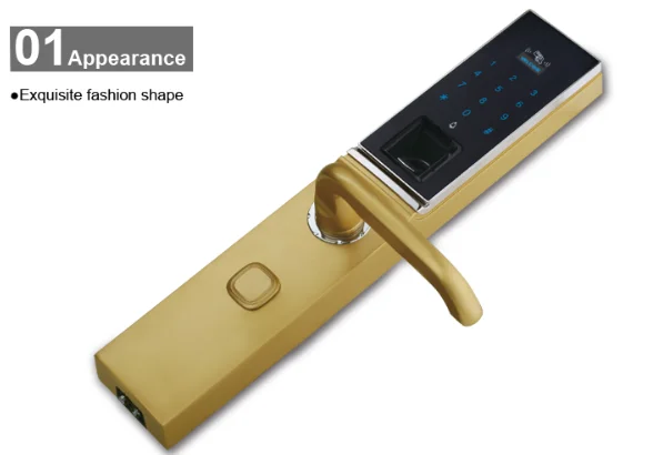 Card digital keyapd fingerprint sensor door lock.png