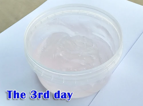 3 Day.jpg