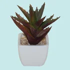 Succulent plant white artificial cactus plants manufacturer
