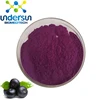 /product-detail/undersun-supply-instant-powder-acai-berry-p-e-supplement-berry-fruit-juice-frozen-dried-extract-powder-in-bulk-60645470508.html