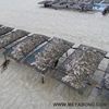 /product-detail/hdpe-aquaculture-oyster-cultication-floating-cage-60554566397.html