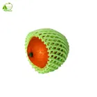 Fruit sleeve net fruit foam net fruit protection foam mesh bags