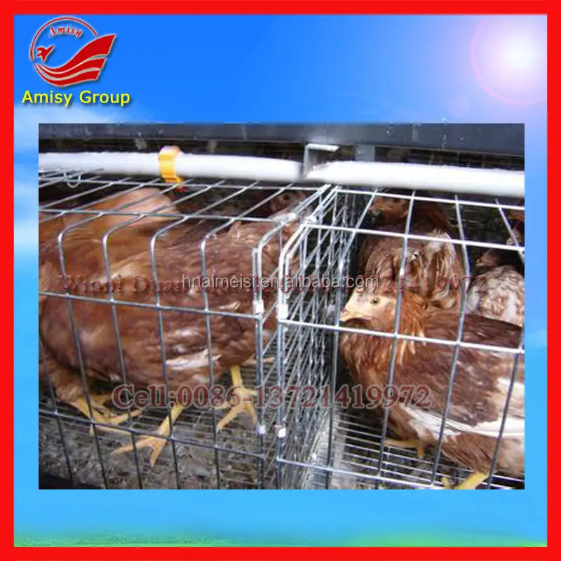Chicken farm slots