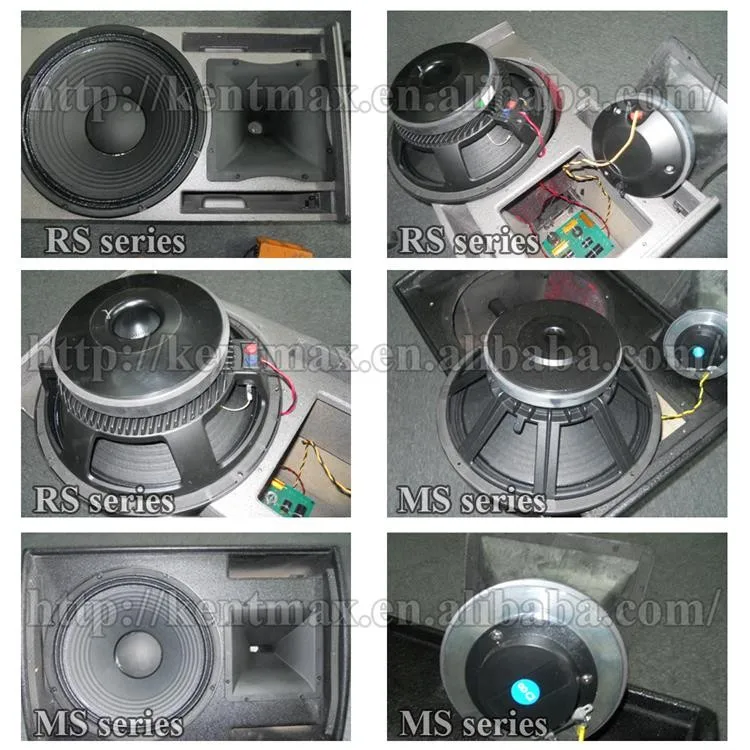 China Manufacturer 15 Inch Professional Passive Speaker