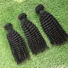 Brazilian hair 100% unprocessed kinky curly not mixed whole price human virgin hair wefts