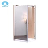Mirror pivot 2 moving stainless steel glass shower bathroom door