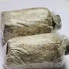 Detan Eryngii Logs - All Types of Mushrooms