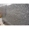 Chinese marble granite supplier spray white grey granite tile slabs