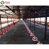 Small used poultry farming equipment for broiler chicken house