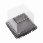 Factory Custom PET Plastic clear square cake dome container with black base
