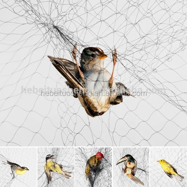 Nylon Bird Trap Net For Catching Nets Buy Bird Trap Net,Bird Trap Net