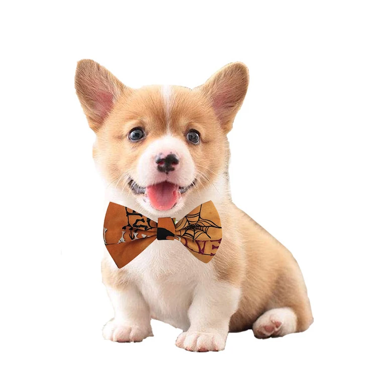 dog grooming bow ties