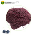 Dried Fruit FD Food Freeze Dried Blueberry