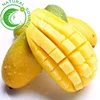 Wholesale Natural High Germination Rate Mango Seeds Fruit For Hot Sale