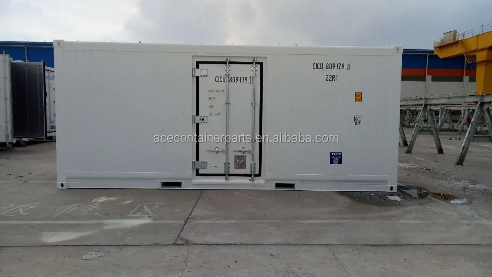 csc certified new customized open side door reefer container 20