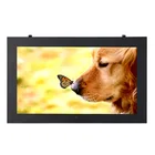 55 inch Waterproof exterior LCD hd digital signage outdoor tv screen
