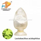 Probiotic Powder Lactobacillus Plantarum Nutritional Supplement