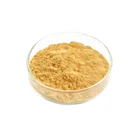 Factory Supply Powder Form Red Ginseng Extract