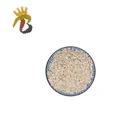 Low Price best selling peeled split white kidney beans for sale
