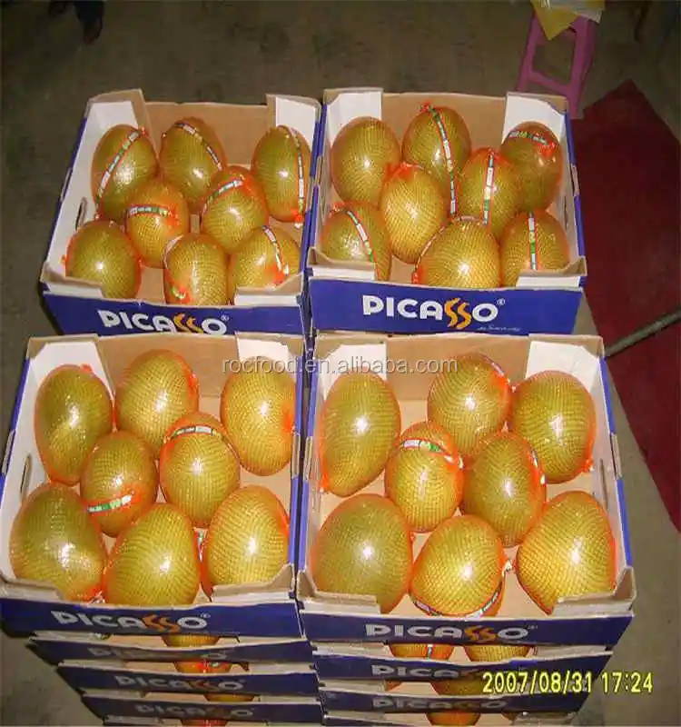 new harvest fresh citrus fruit guanxi honey pomelo price