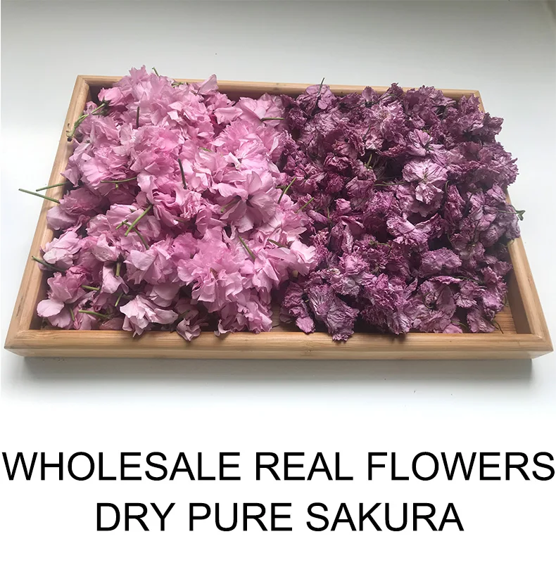 real dried flower cherry tea dried cherry dried sakura cherry