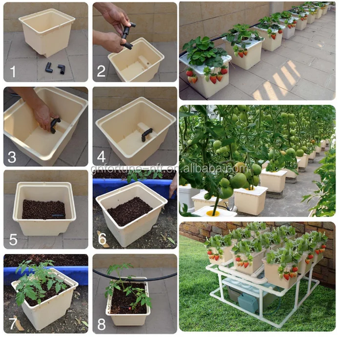 Single Dutch Bucket Hydroponic System, Easy DIY, Patio, Balcony, Winter Gardening.png
