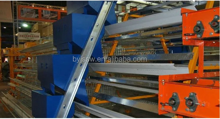 chicken feeding system2