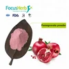 Factory Supply High Quality Pomegranate Fruit Juice Powder