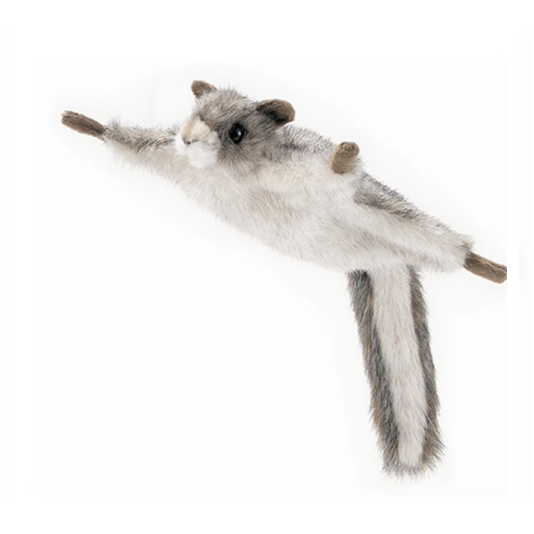 K1811 flying squirrels.jpg