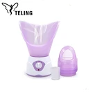 Popular and beautiful design Home Portable Facial Sauna Steamer Professional