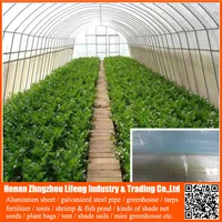 Cheap Plastic Agricultural Greenhouse With 3