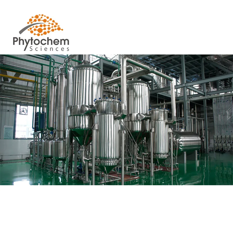 factory picture (3).jpg