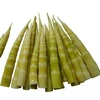 organic food canned baby bamboo shoot long shape canned vegetable