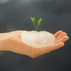 Hot Sale! Seed Coating SAP Polymer-Potassium Polyacrylate Resin