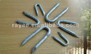 U Shaped Nail View Types Of Wood Nails Rayee Product Details U Shaped Nail