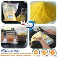 PAC Poly Aluminium Chloride Purity From