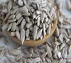 Chinese long shape confectionery grade sunflower seeds kernels