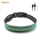 DC-017BL Night Security Illuminated Glow Led Dog Collar