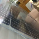Solar Green Solar Panel For Customized Double Glass Solar Panel For BIPV Green House Mono 180W 175W 300W 290W 360W 350W