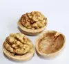 Raw Processing Type dried in shell walnuts wholesale price